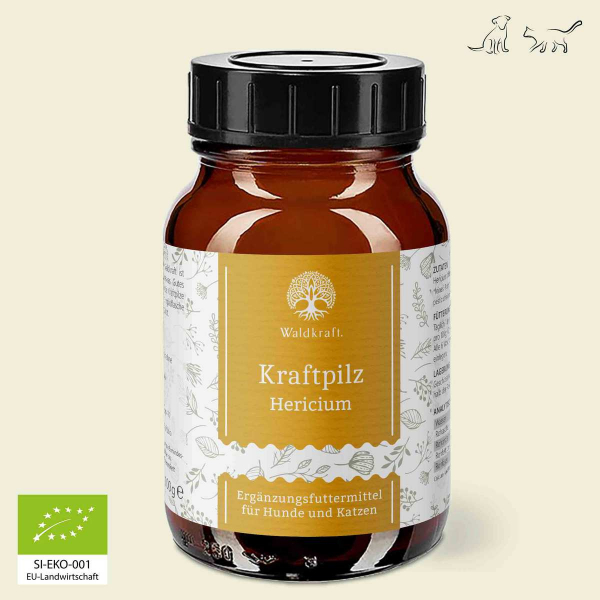 Kraftpilz Hericium – Vitalpilzpulver – 100g